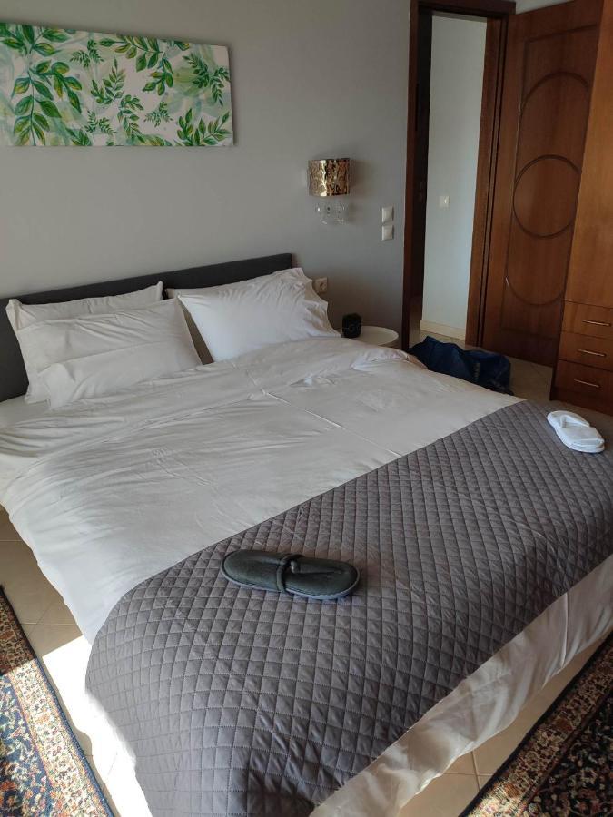 Old City View Apartment Volos Bagian luar foto